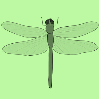 Caddis Counselling and Psychotherapy